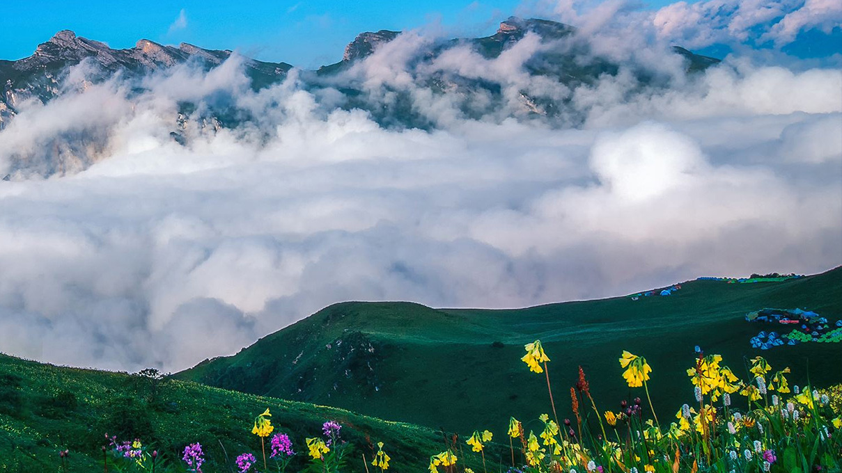 四川旅游踩坑的地方,贵州旅游踩坑