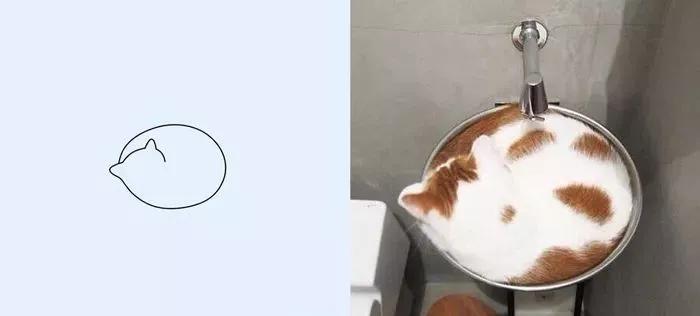 一波可爱动物简笔画,超火的简笔画动图