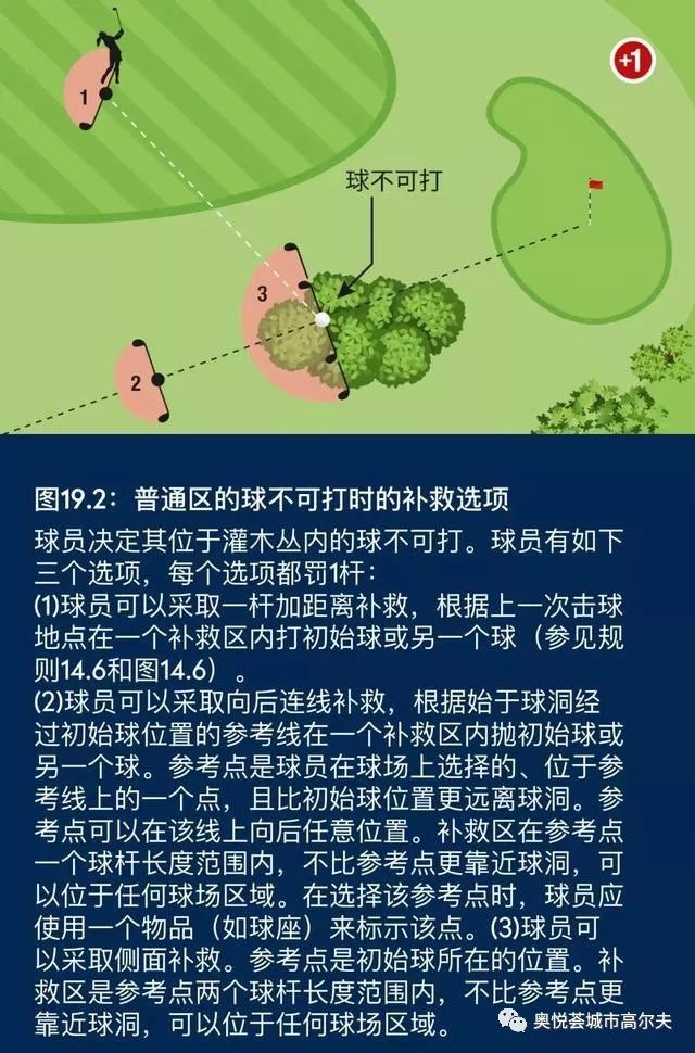 高尔夫球新规则挥杆动作,高尔夫球规则最新版书