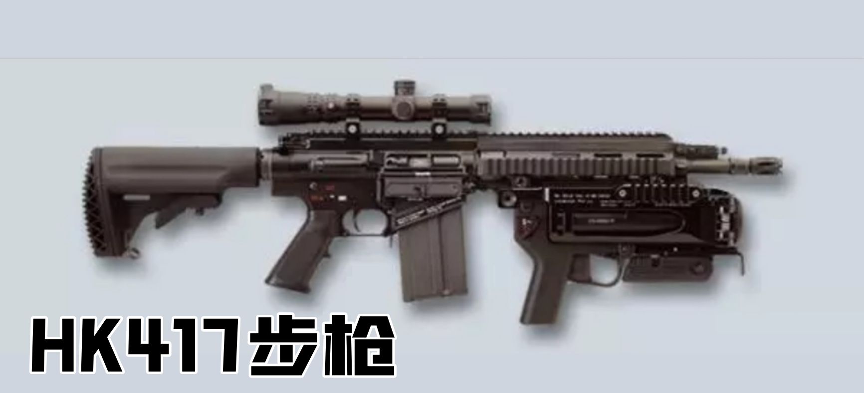 英国枪史图册全篇,德国枪图片