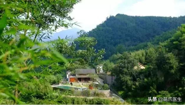 带宠物住宿酒店,带宠旅行酒店