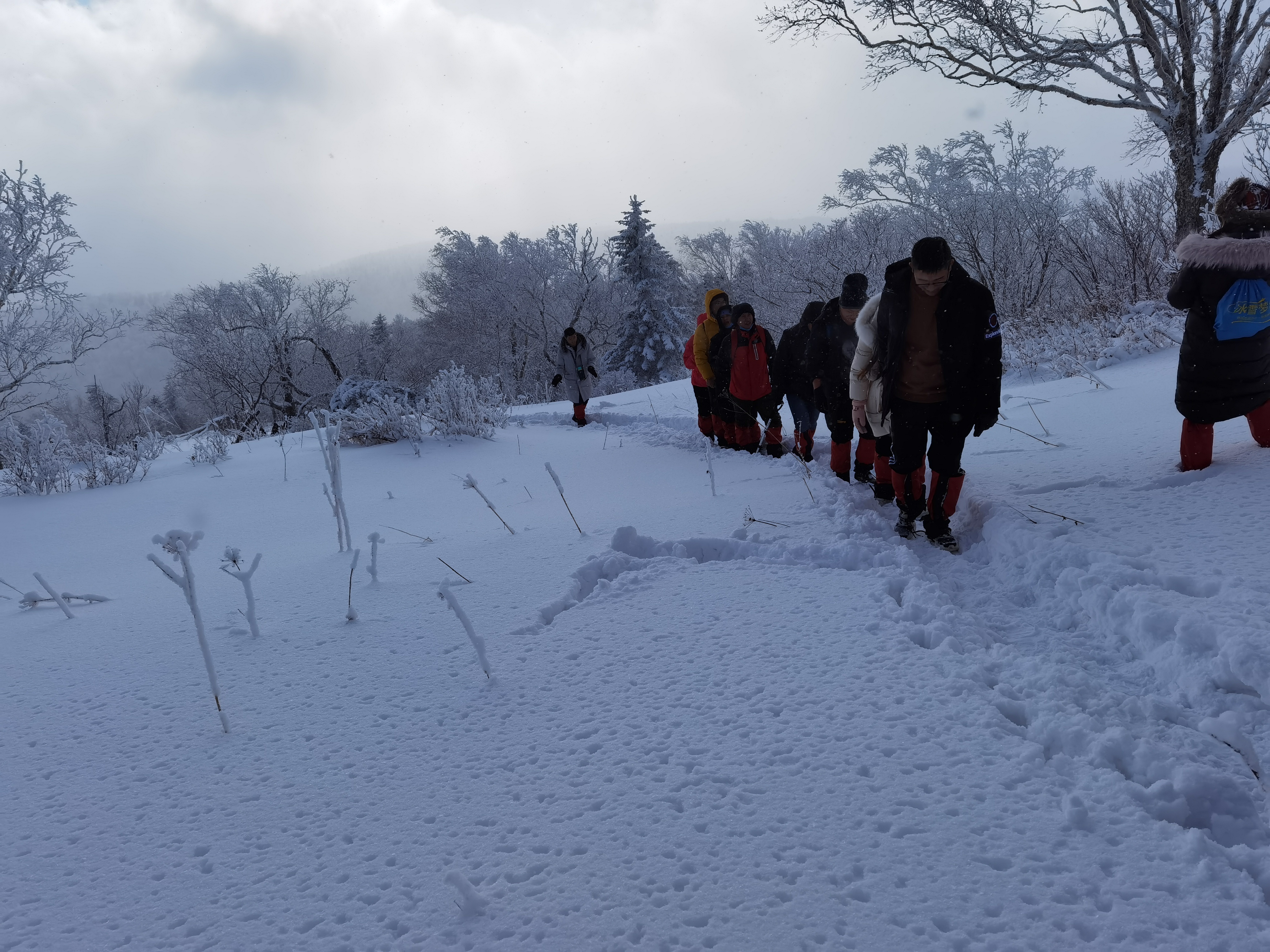 东北旅游人均1500,东北人旅游全攻略