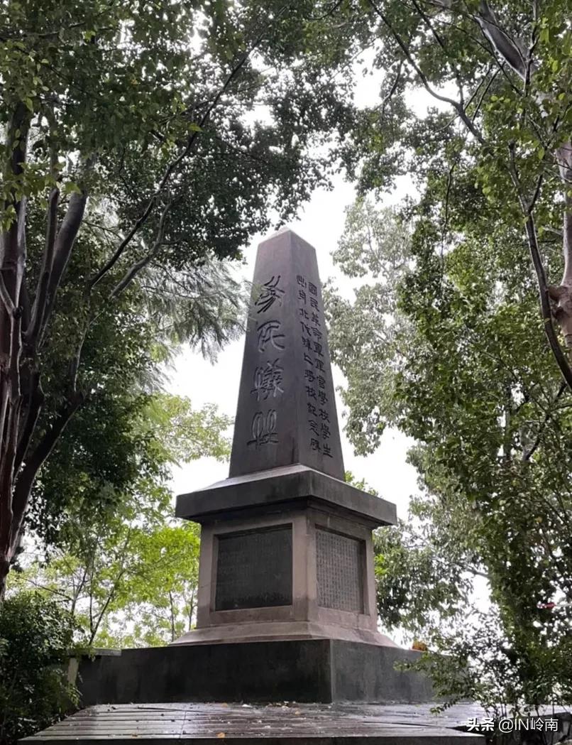 童心向党探寻红色革命密码,童心向党红色回忆