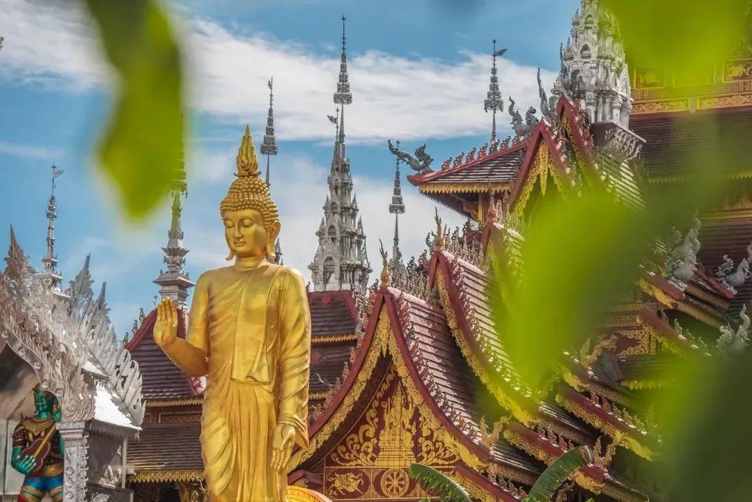 打卡中老铁路,曼听公园网红打卡景点