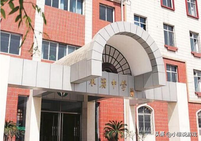 天津市东丽区有几所公立学校,天津东丽区有哪些中学