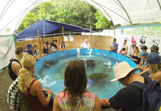 一眼钟情翡翠图片大全,一眼钟情电影