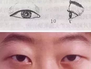 戚薇死鱼眼瞪人,戚薇死亡凝视