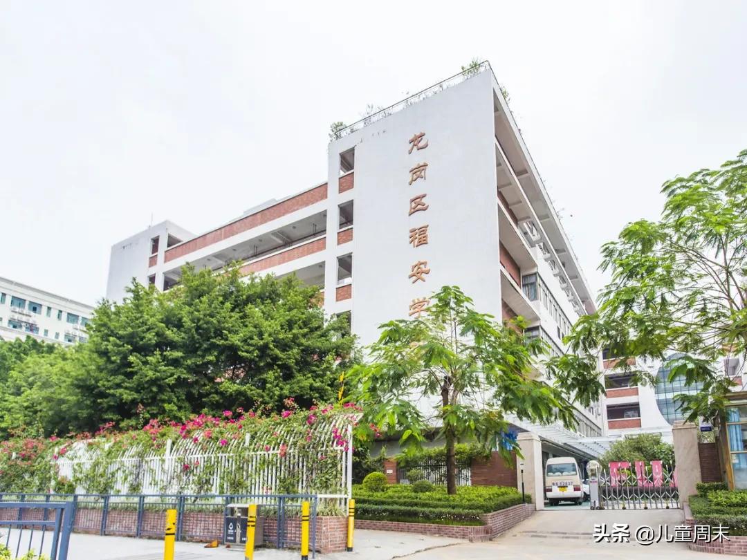 深圳龙岗十大民办小学排名,深圳南山区十大公立小学