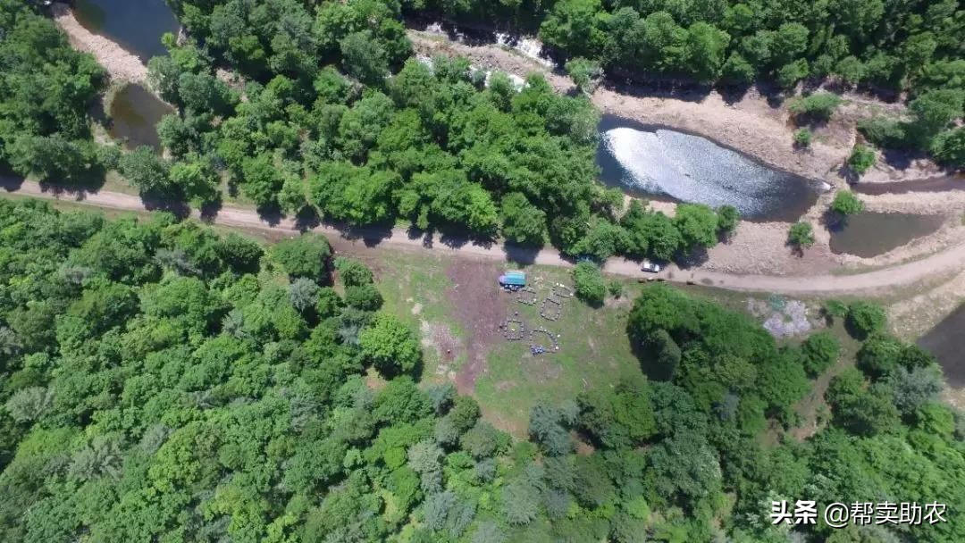 乾隆皇帝宠爱女人,乾隆皇帝宠爱七公主