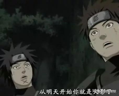 柱间细胞、瞳术、漩涡血统、人柱力，天才，如果是你会选哪个？