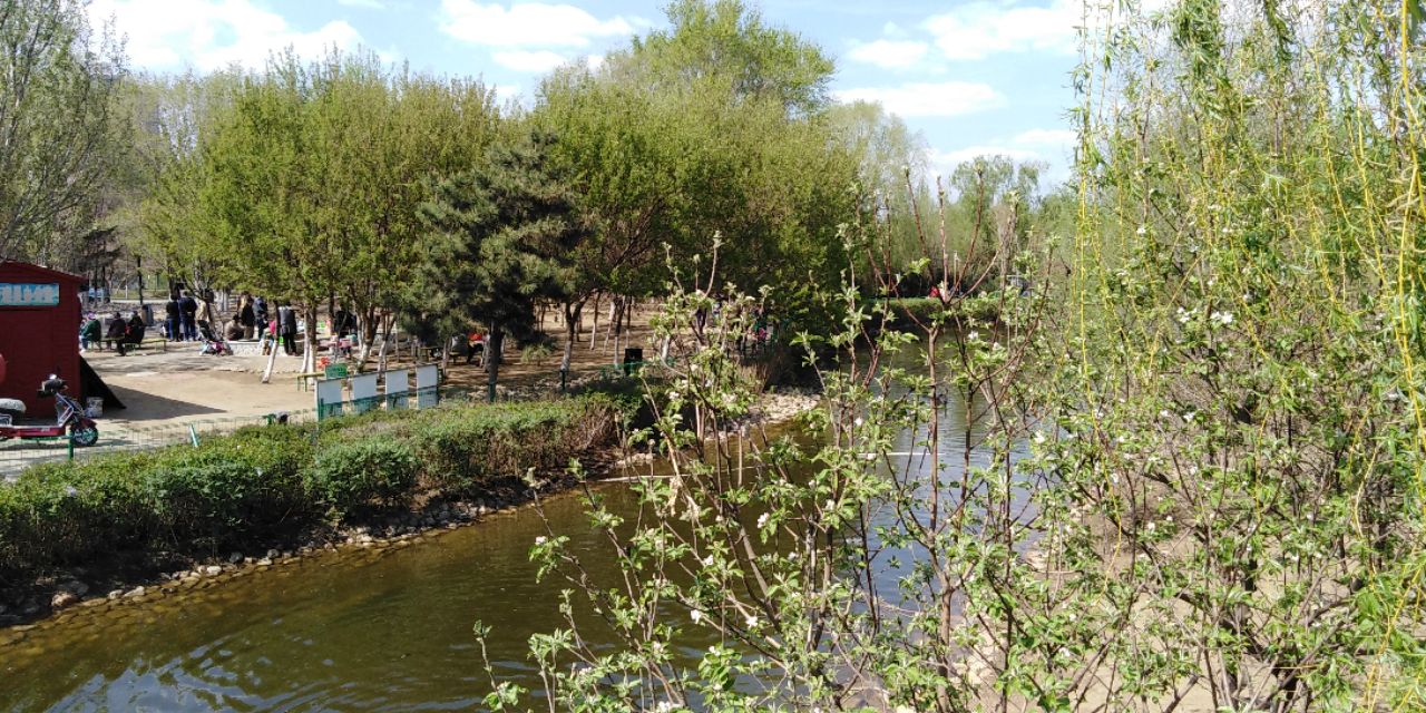 沈阳长白岛森林公园一日游攻略,长白岛森林公园五一