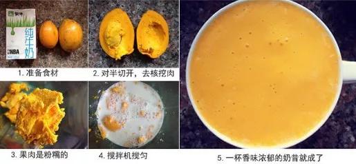 长在树上的鸡蛋果图片,长在树上的鸡蛋