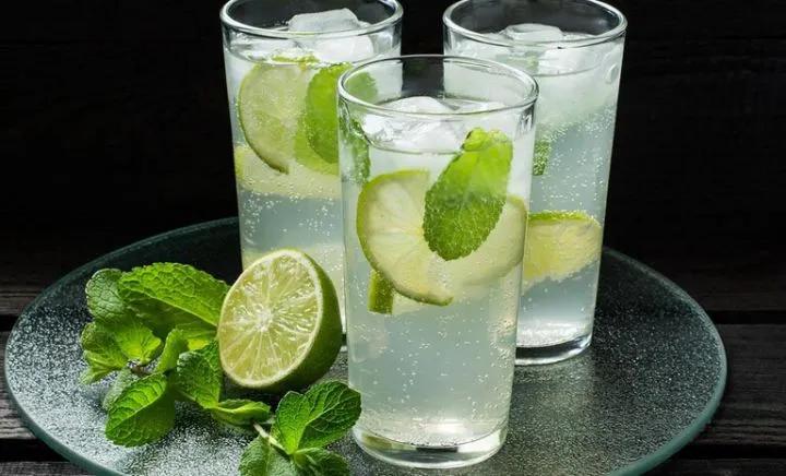 神似薄荷的养生药材,薄荷和其他中药同时煮