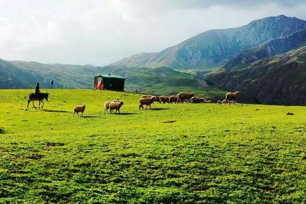 新疆拜城县最新消息今天,拜城最新真实消息