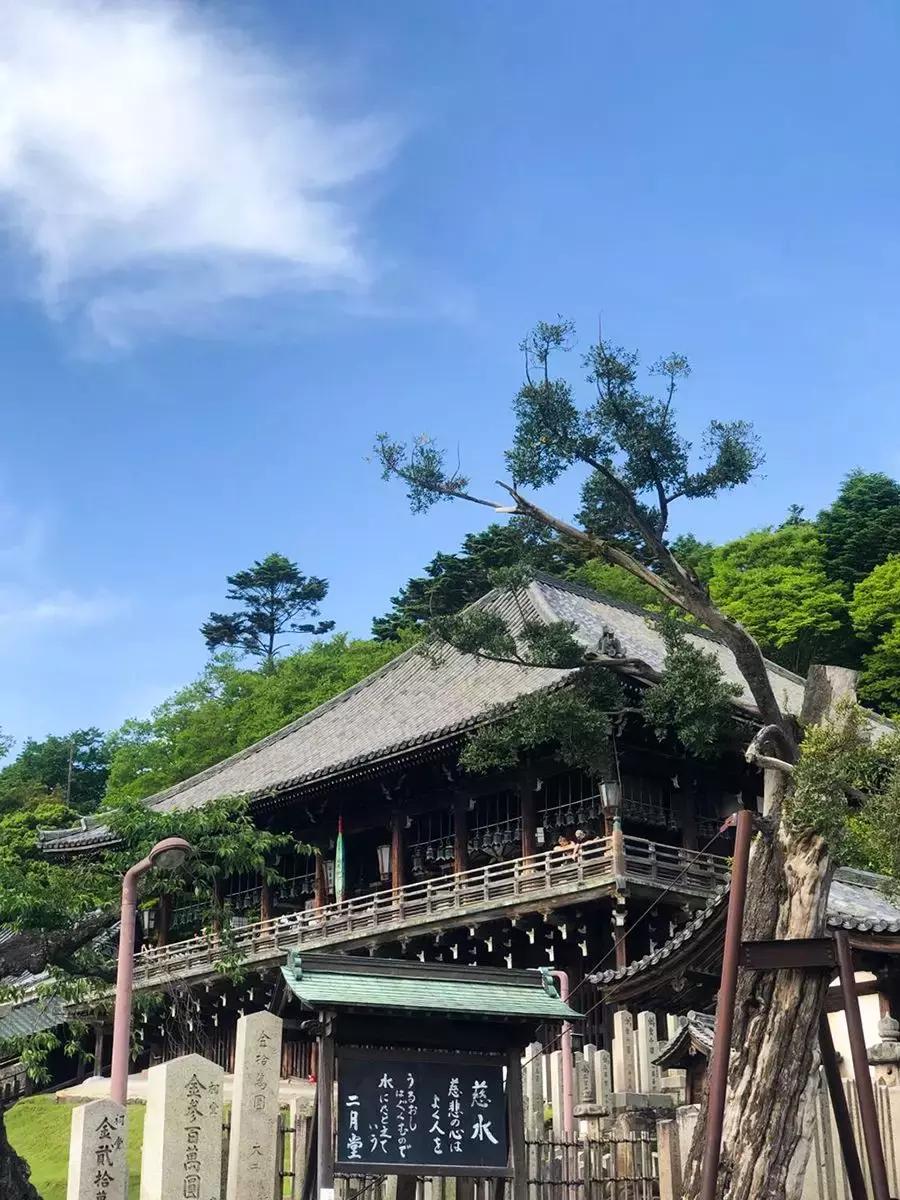 大阪京都奈良自由行怎么乘车,京都奈良旅游详细攻略