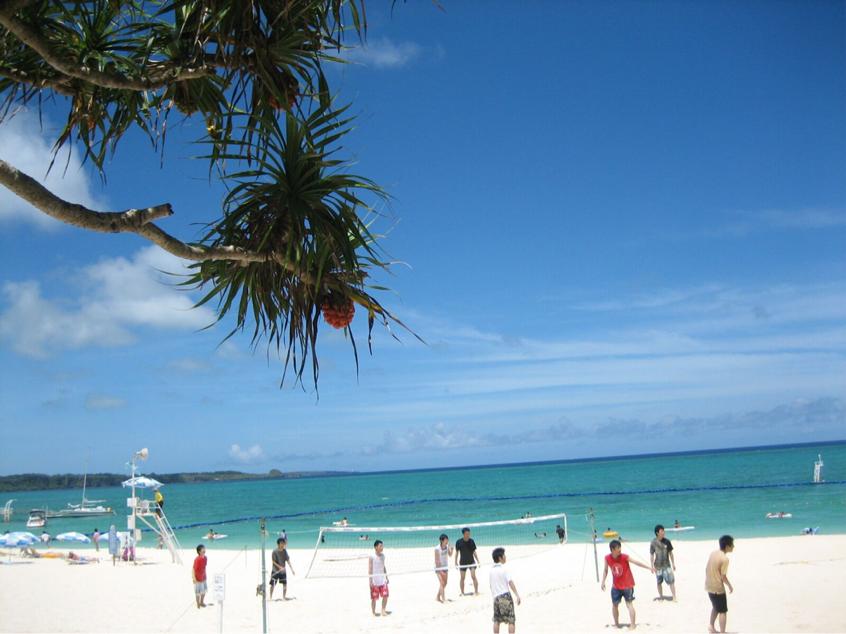 日本琉球大学,琉球大学简介