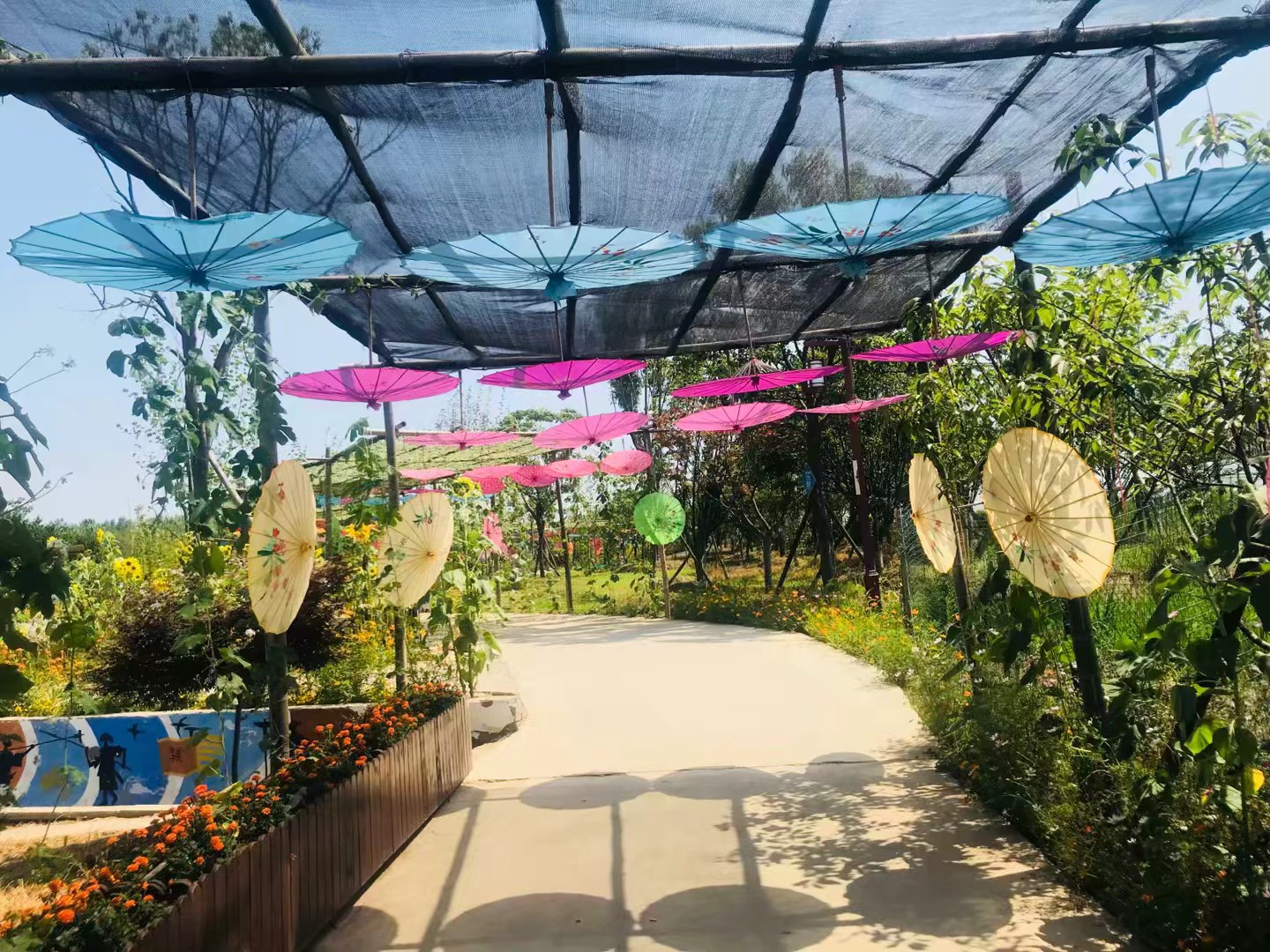 同心花海风景区,春光无限好旅游观光