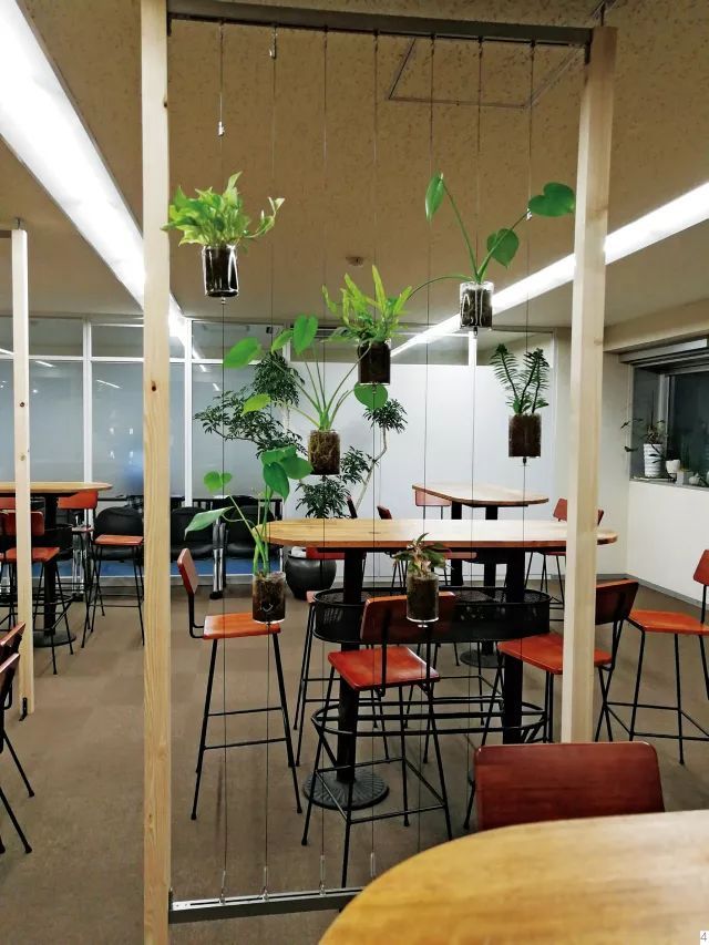 走进日本百年花店——日比谷花坛