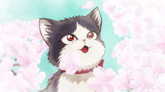 最萌新番,豆瓣8.8最佳纪录片女主