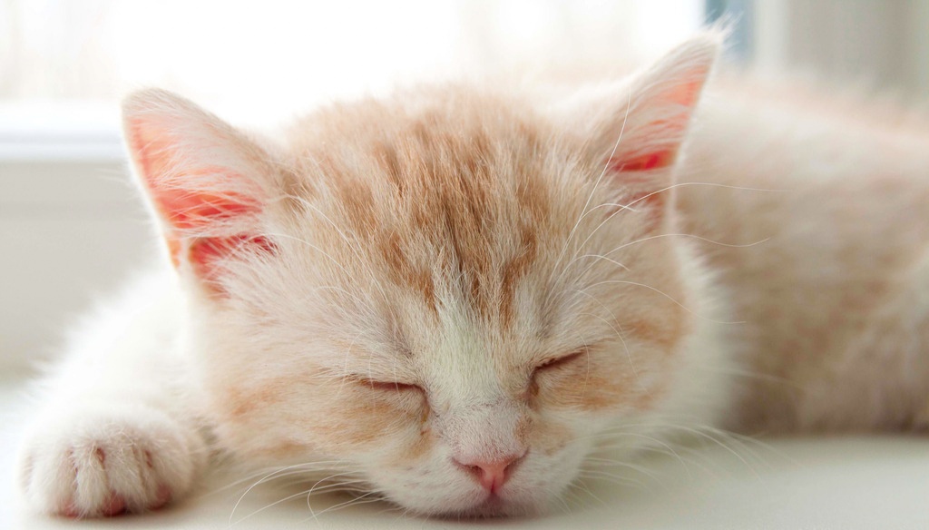 当我和我的朋友谈论感情,当我和朋友聊天我们在聊什么