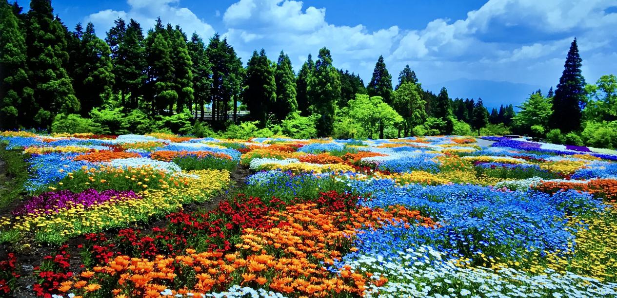 lg超薄oled电视评测,外观设计非常绚丽又亮眼