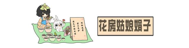 鸿运当头怎么养才能养好,鸿运当头怎么养才会长得好