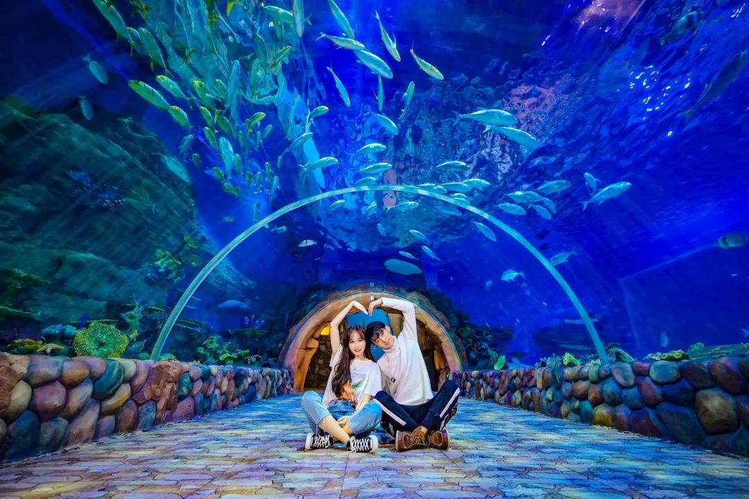 西安海洋公园地址,西安华夏文旅海洋公园