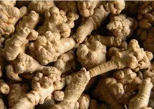 三七食用说明,三七居然有那么多功效