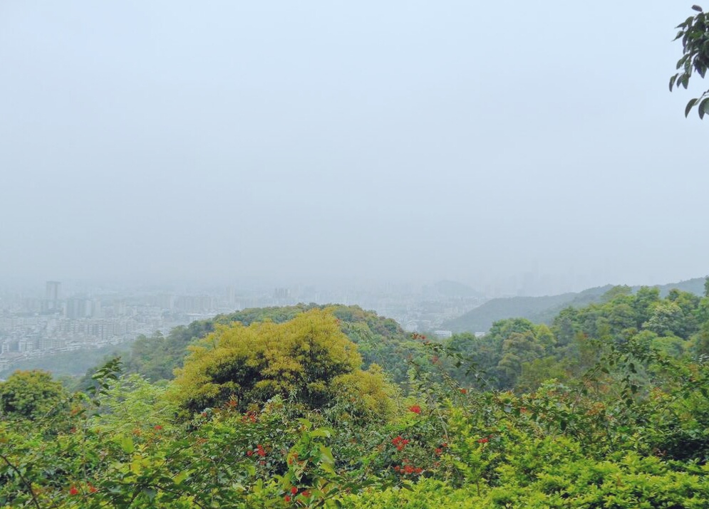 广州白云山风景区有山爬吗,广州白云山哪个入口风景最好