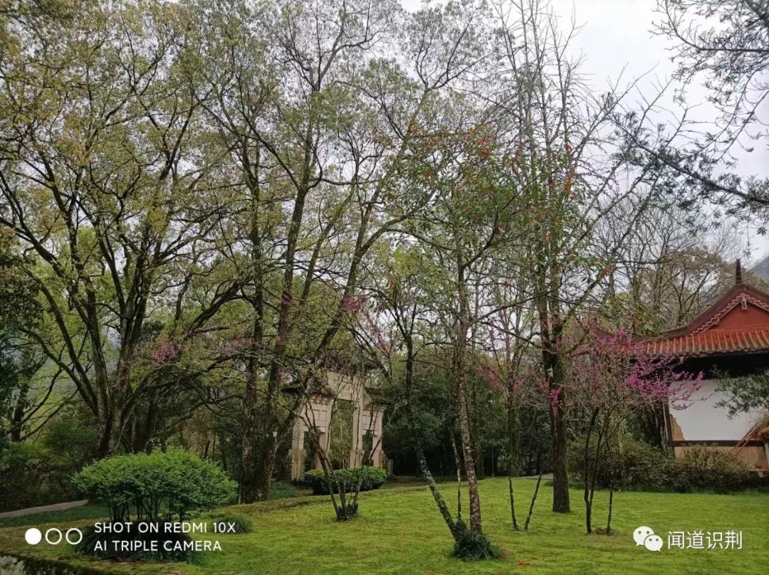 鹤冲天黄金榜上柳永全文,鹤冲天黄金榜上柳永