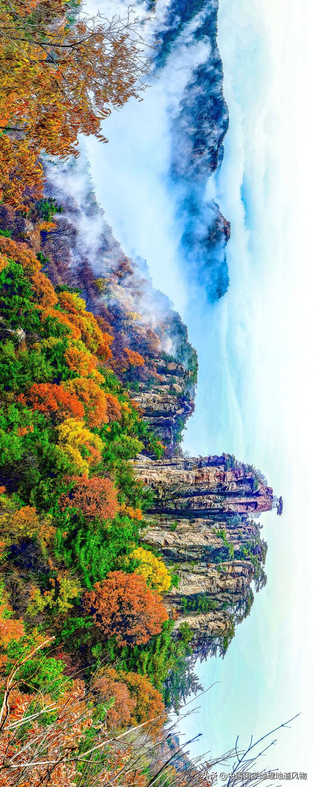 济南青岛临沂,青岛和临沂差距有多大