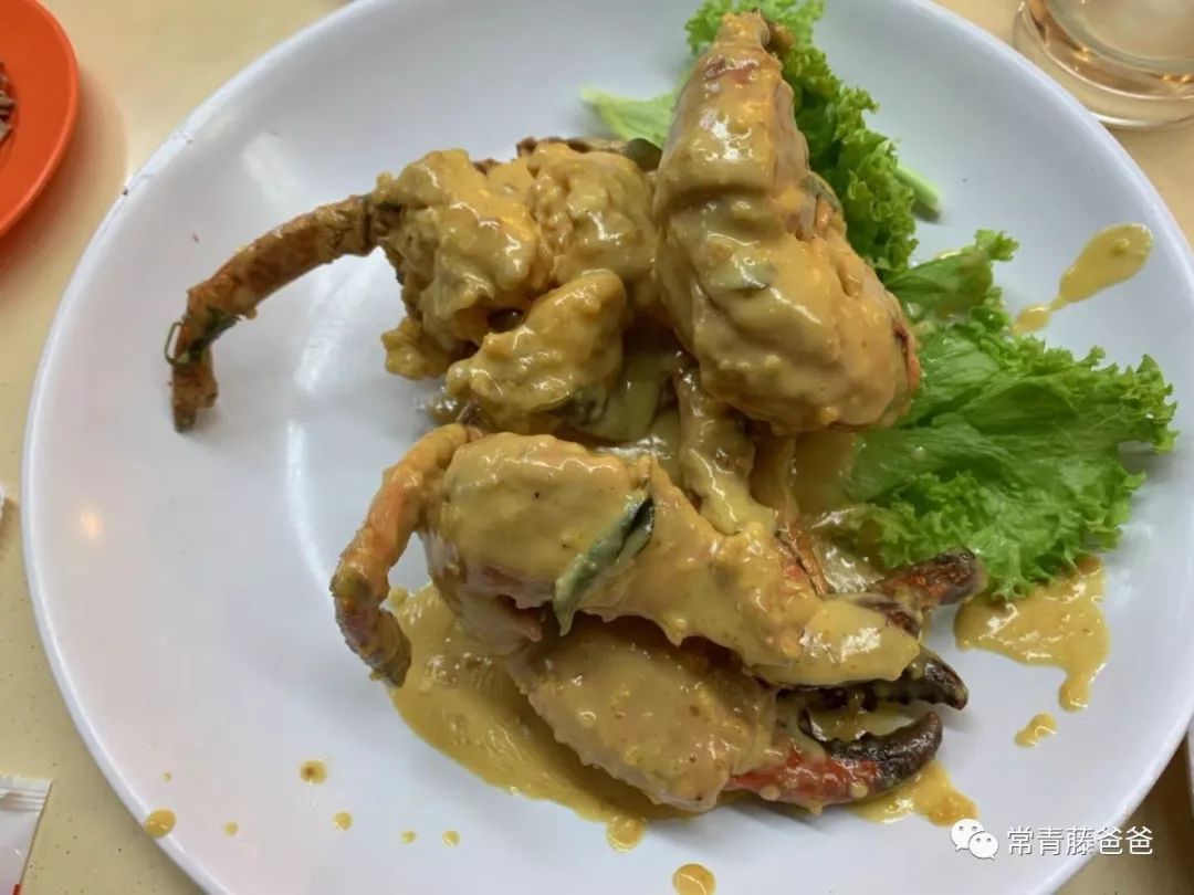 十一新加坡,十一游学新加坡