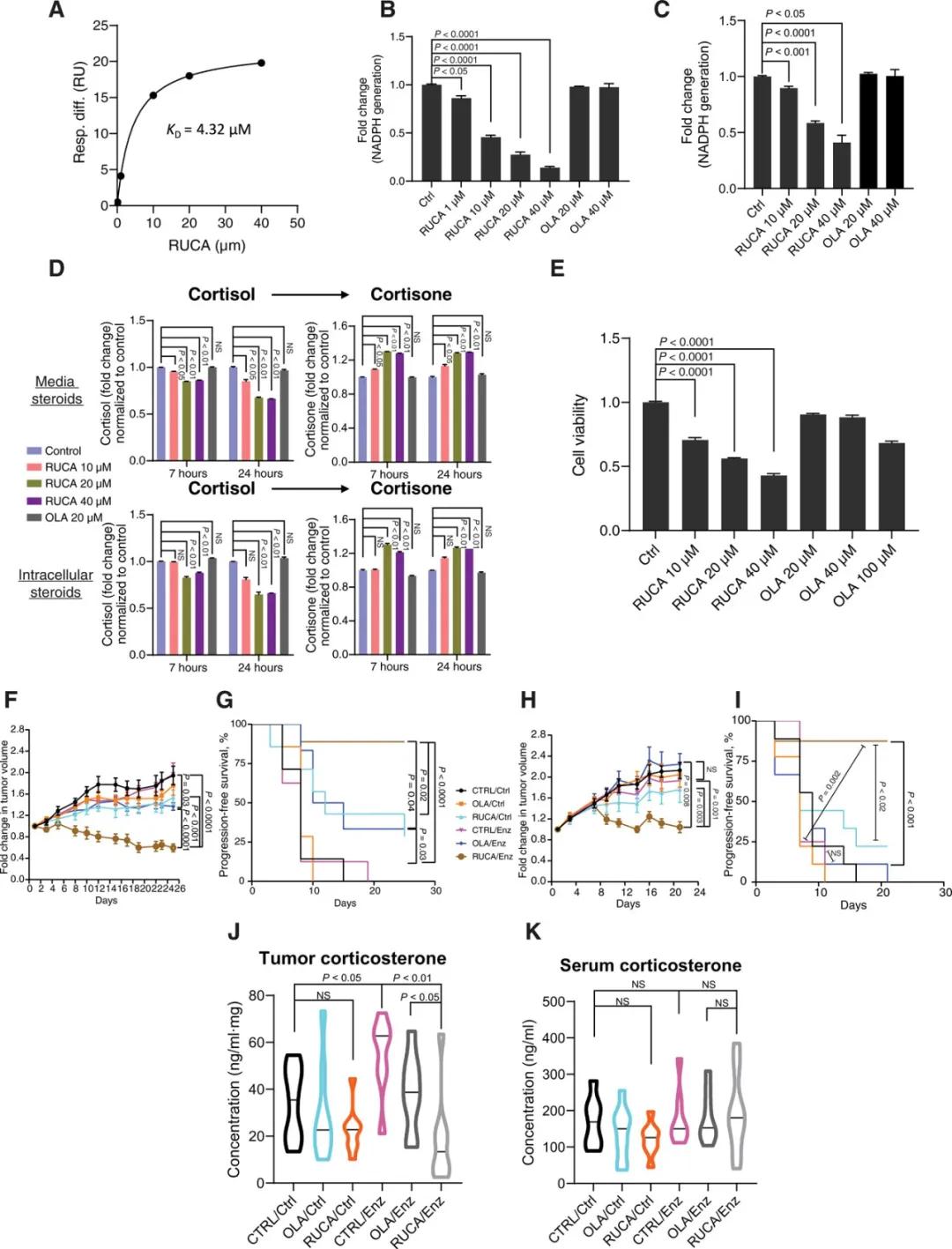 前列腺癌新疗法：恩扎卢胺“搭档”H6PD*制剂抑**，显著改善小鼠生存