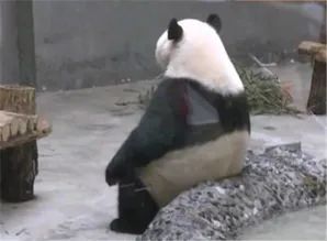 请广大“师奶”引以为戒，打死都不要让你老公入厨房