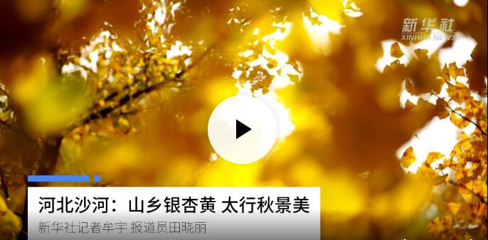 高端媒体看磁县,高端媒体看邢台新华社