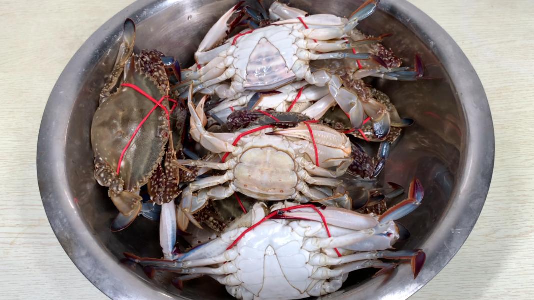 螃蟹保存，教你一招！放10天都新鲜，中秋不用再花高价买着吃了