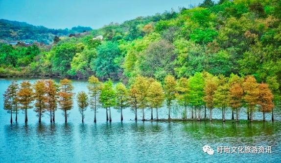 养心铁山寺,天然氧吧铁山寺人间仙境天泉湖