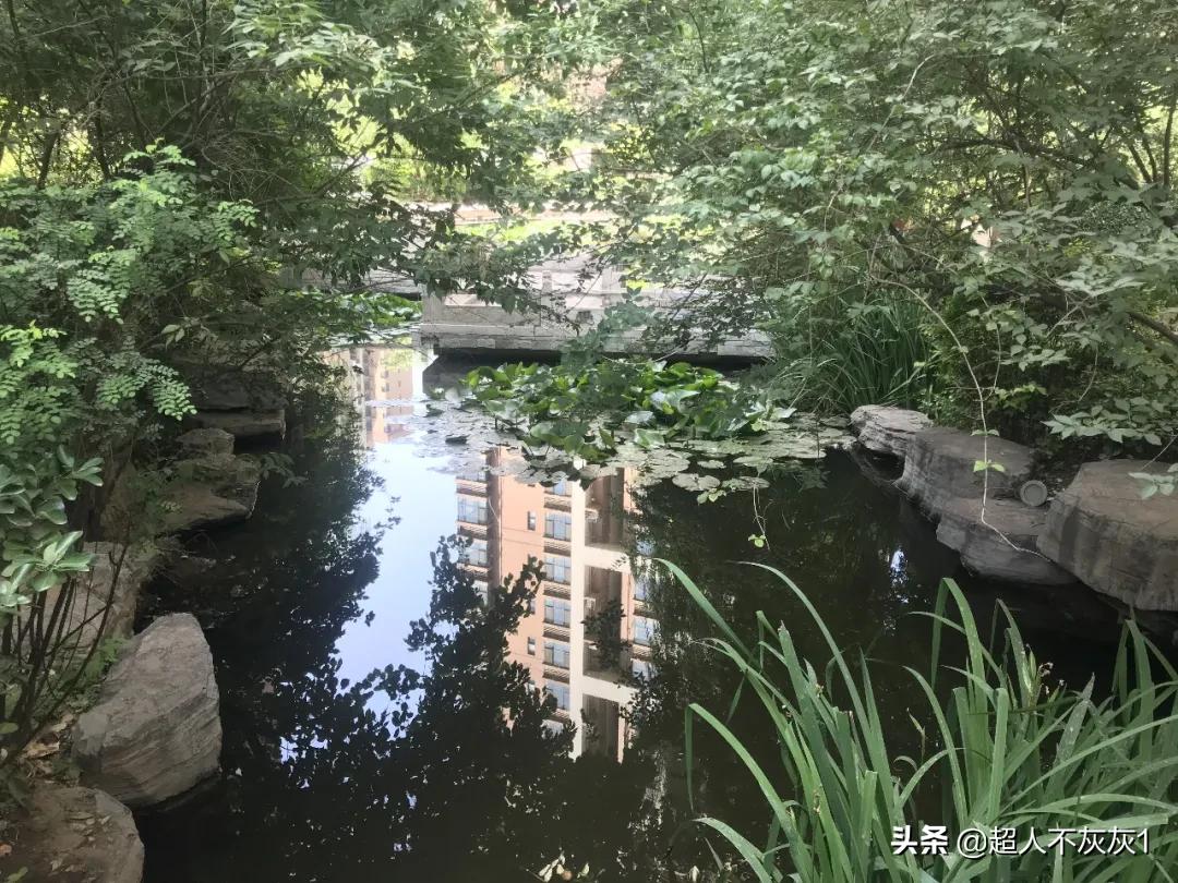 石家庄阿尔卡迪亚荣景园划片,石家庄阿尔卡迪亚荣景园学区