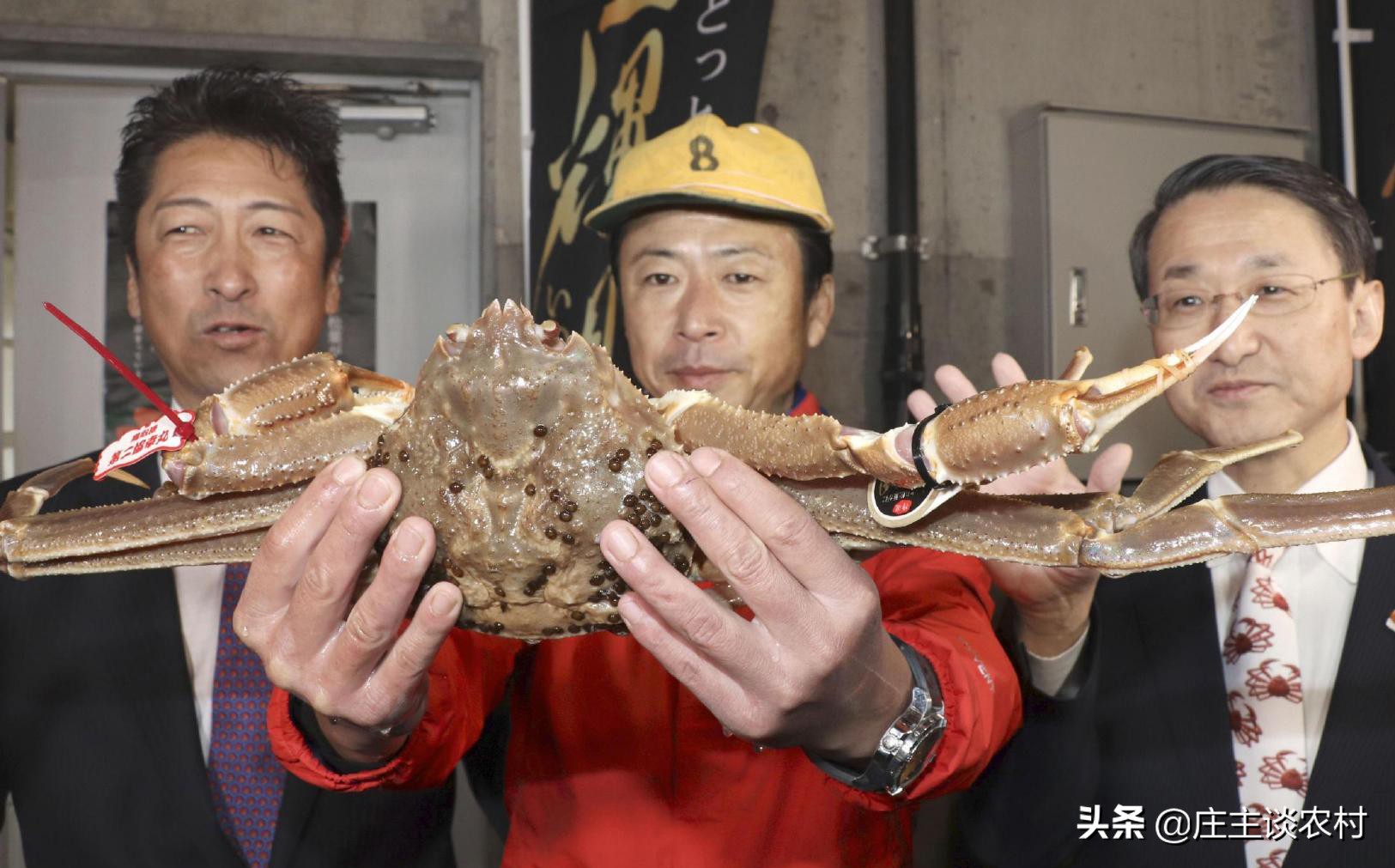 世界上最贵的几种食材有哪些,世界上最贵最顶级的食材