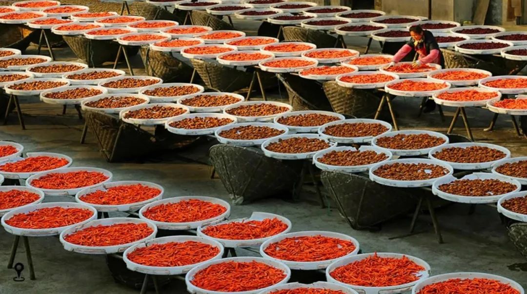 苏州西山十大知名农家乐有哪些,带你走一走苏州的太湖边农家乐