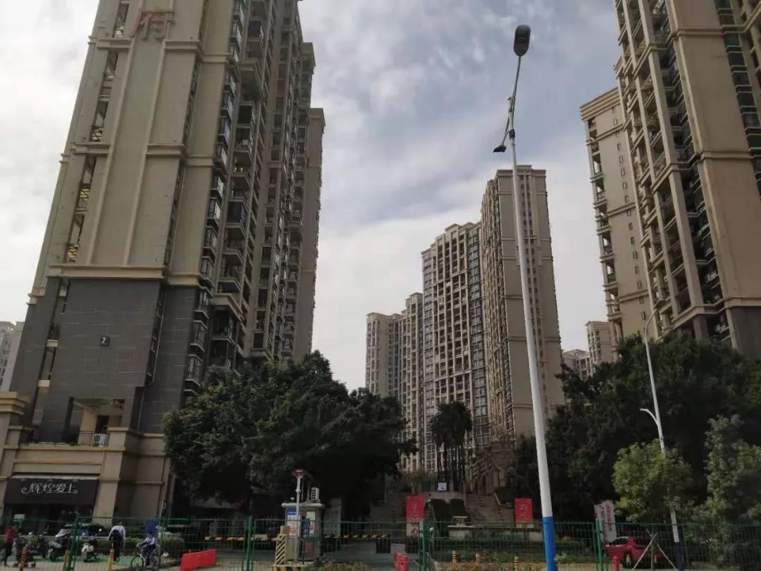 深圳上周楼盘去化量,深圳楼盘首日去化情况