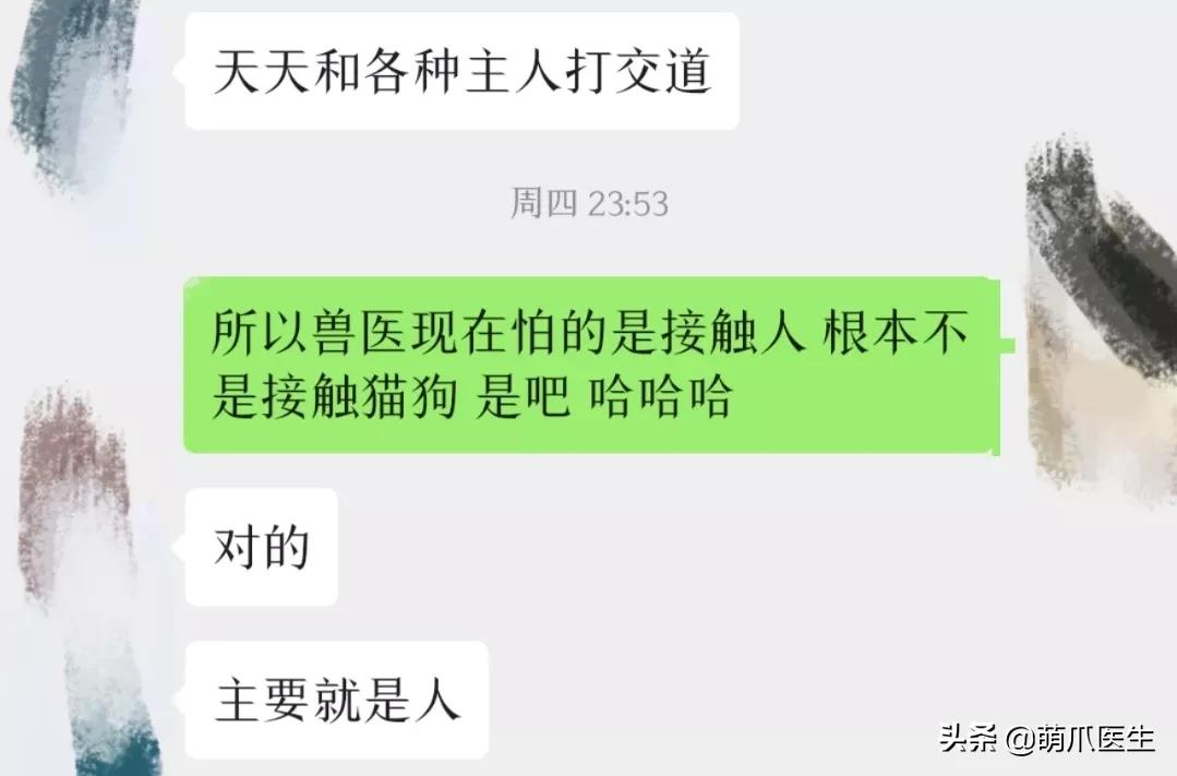 疫情宠物医院应该关门么,疫情宠物医院被迫关闭怎么办