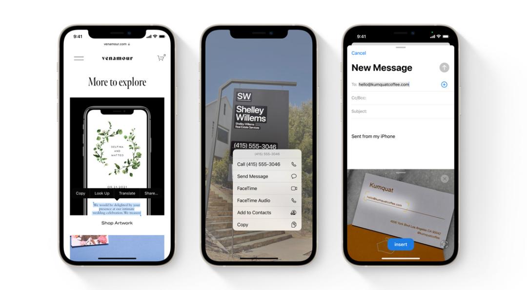 一文看懂ping,一文看懂iphone14系列