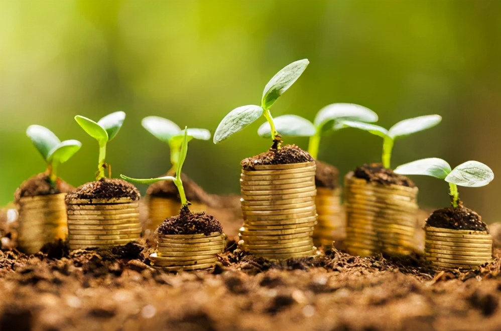 适合大学生投资的基金,大学生如何投资基金