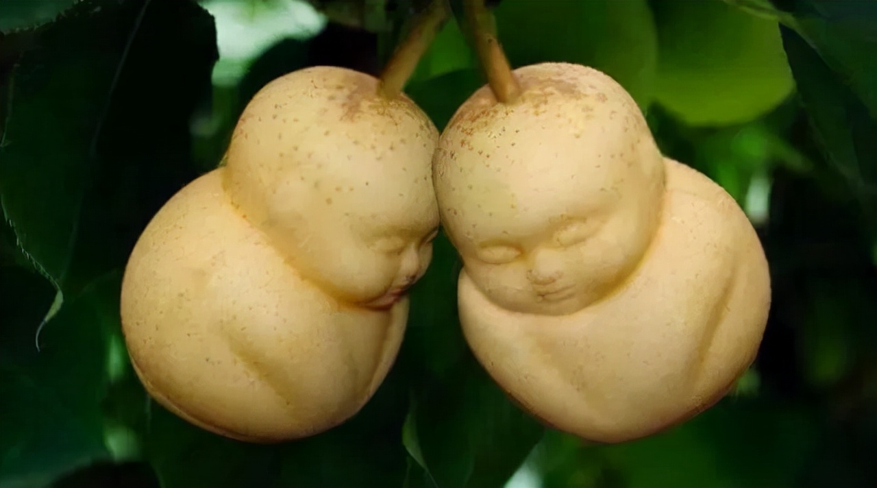 冬季的絮语,下雪絮语