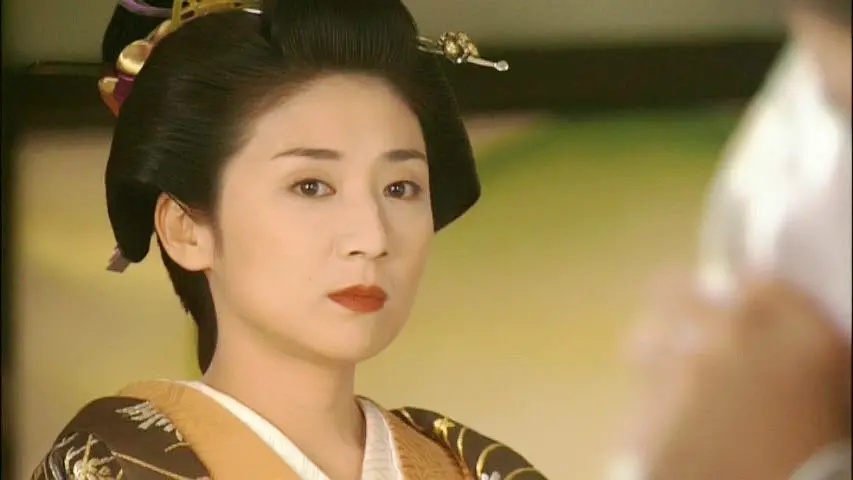 德川大奥是什么,德川幕府大奥平面图