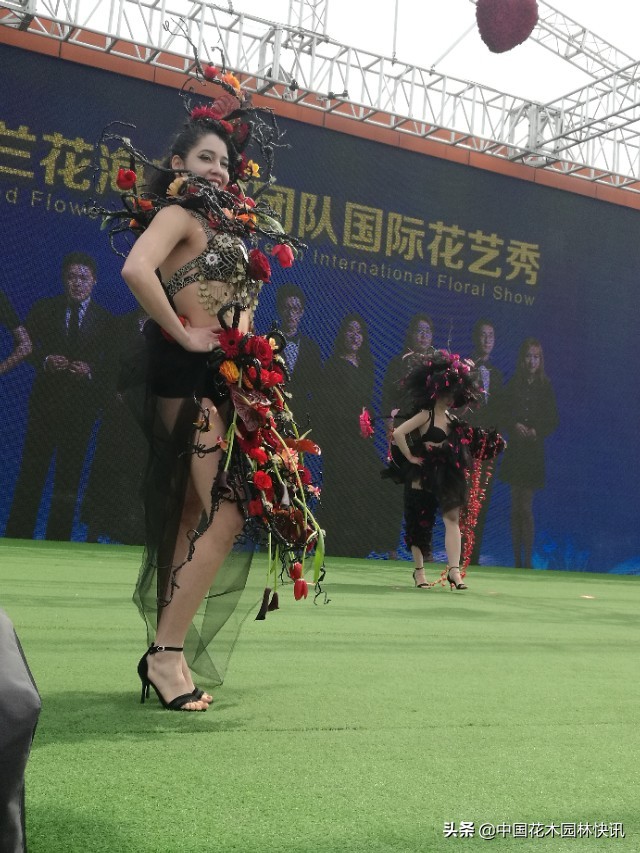 荷兰花海花艺节,荷兰花海国际花艺