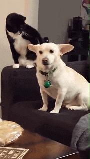 上厕所没有厕纸只能用绳子,上厕所没有卫生纸能用吗