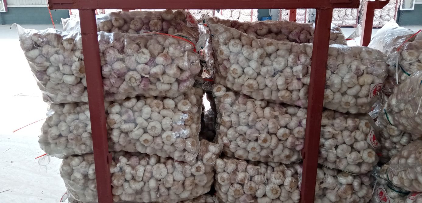 又跌！6.29江苏邳州大蒜价格