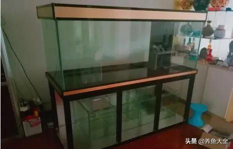 自制生态鱼缸循环系统,自制鱼缸底滤视频教程